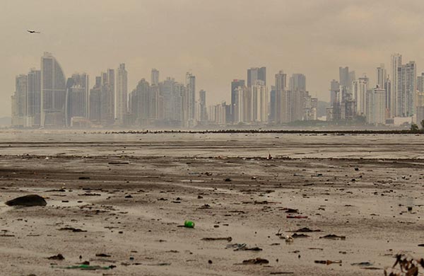 城市污泥烘干機市場分析 城市污泥烘干機市場分析