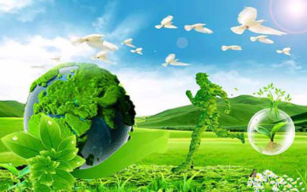 金屬污泥烘干機價格多少錢合理 金屬污泥烘干機價格多少錢合理